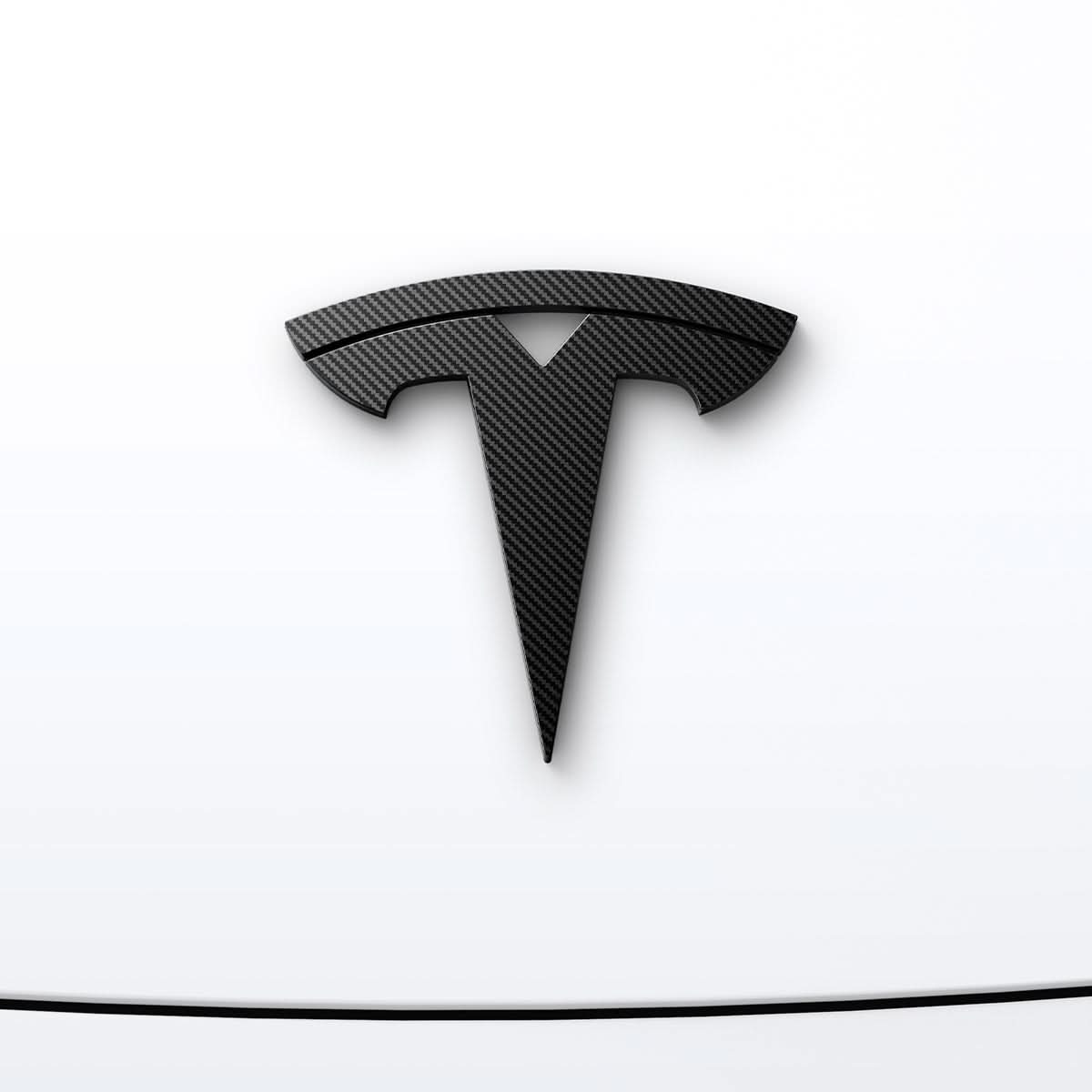 Tesla Series - Front Emblem Logo 22 Tesla Series - Front Emblem Logo