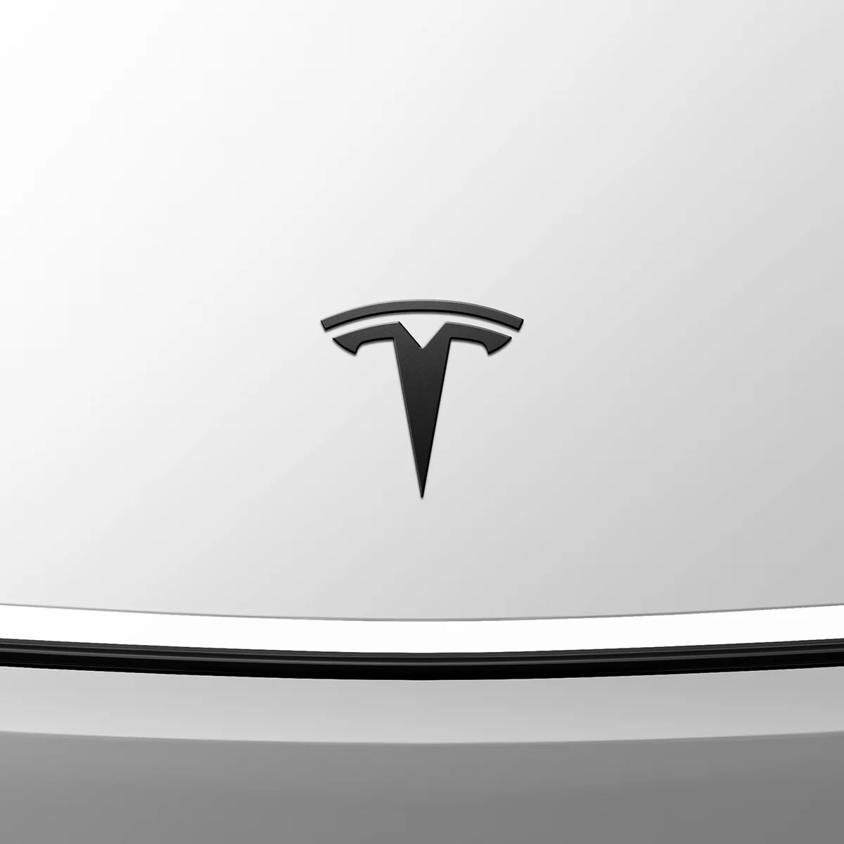 Tesla Series - Front Emblem Logo 34 Tesla Series - Front Emblem Logo