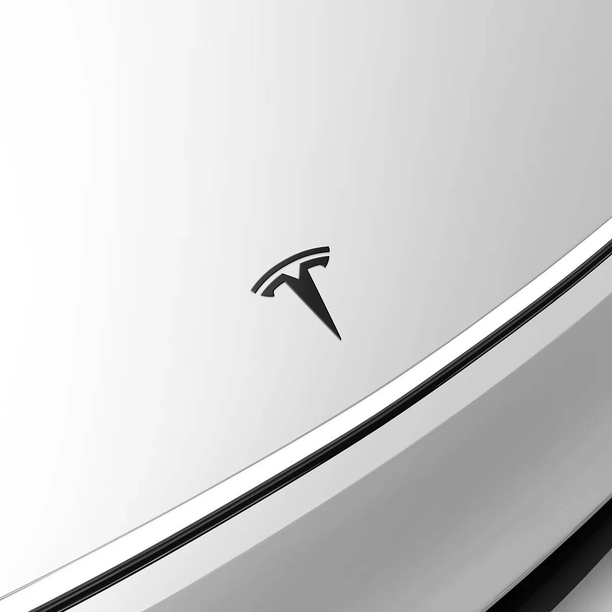 Tesla Series - Front Emblem Logo 36 Tesla Series - Front Emblem Logo