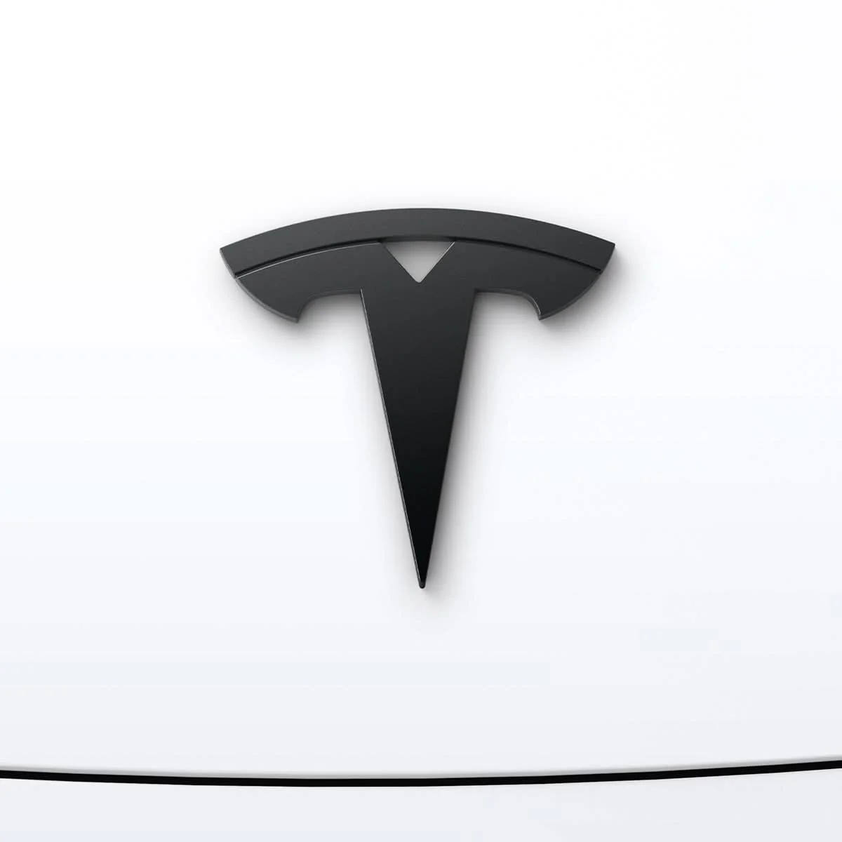 Tesla Series - Front Emblem Logo 9 Tesla Series - Front Emblem Logo
