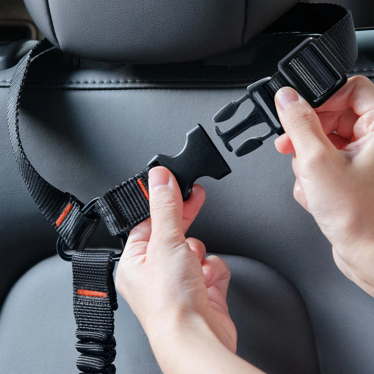 Pet Car Seatbelt Tether | PS100 10 Pet Car Seatbelt Tether | PS100