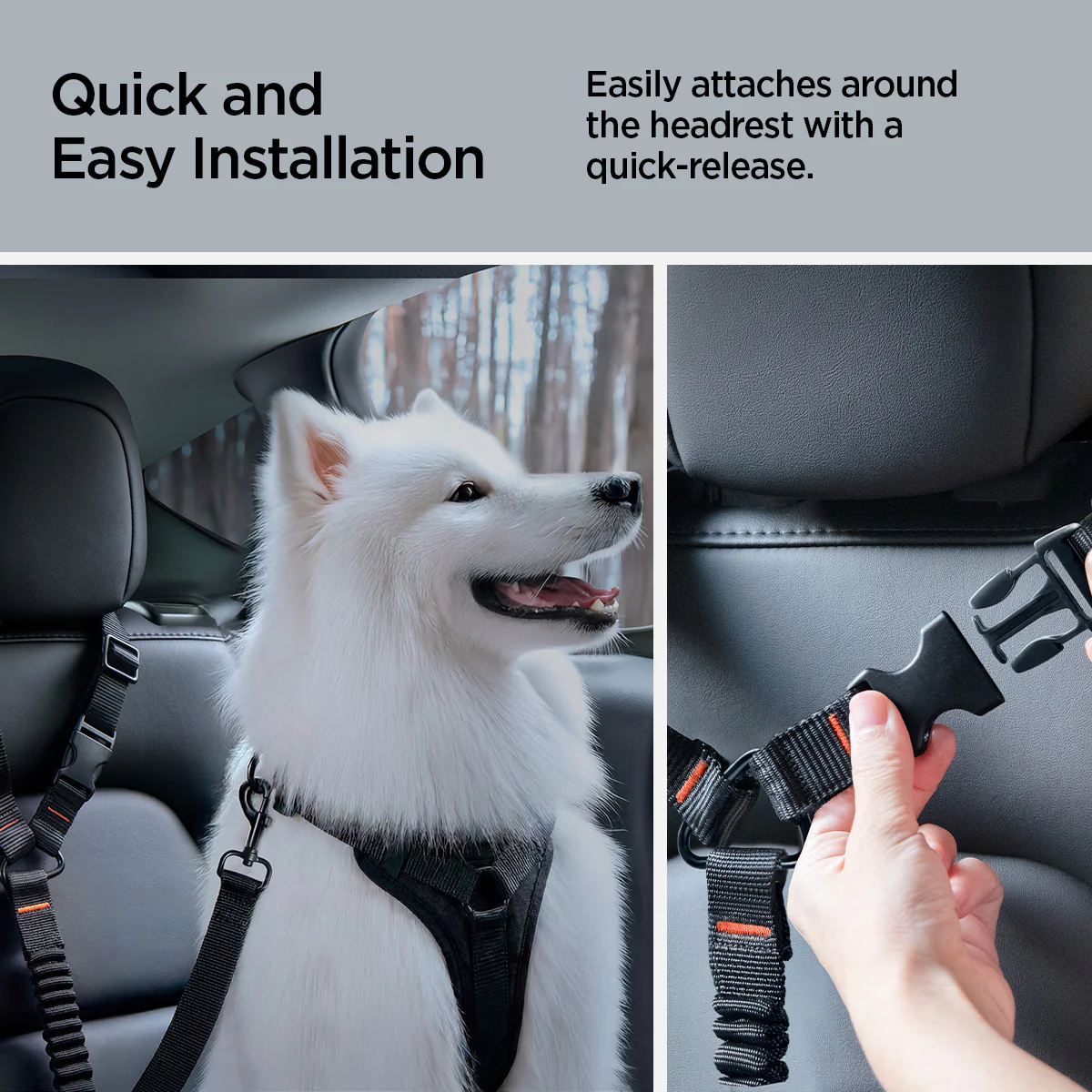 Pet Car Seatbelt Tether | PS100 4 Pet Car Seatbelt Tether | PS100