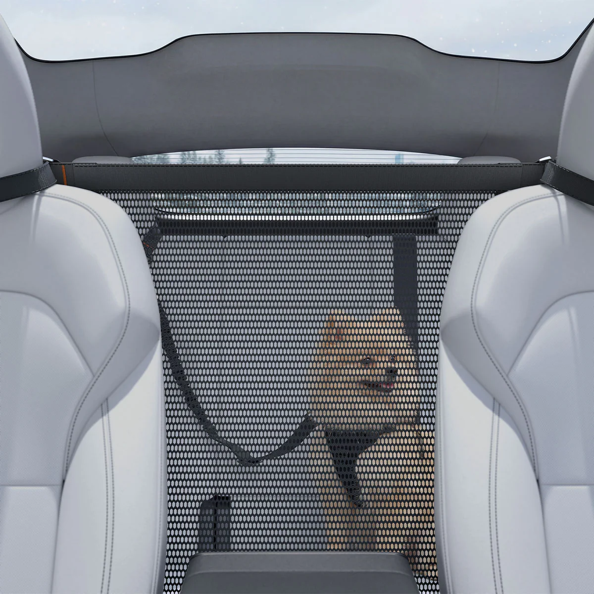 Pet Car Backseat Barrier | PS200
