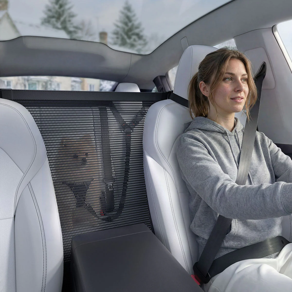 Pet Car Backseat Barrier | PS200 2 Pet Car Backseat Barrier | PS200